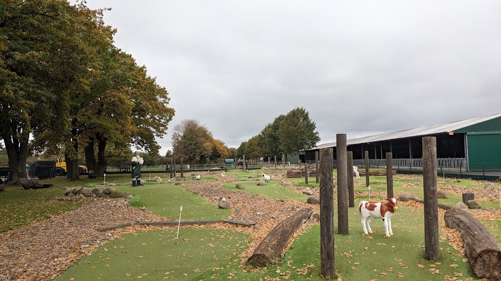 Erlebnishof Gut Darß – Bild 3