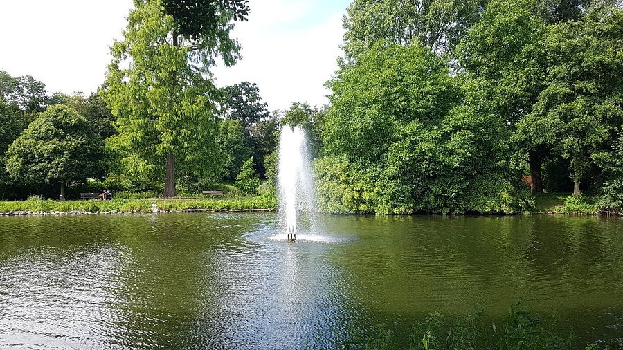 Ludwig-Rehbock Park – Bild 3