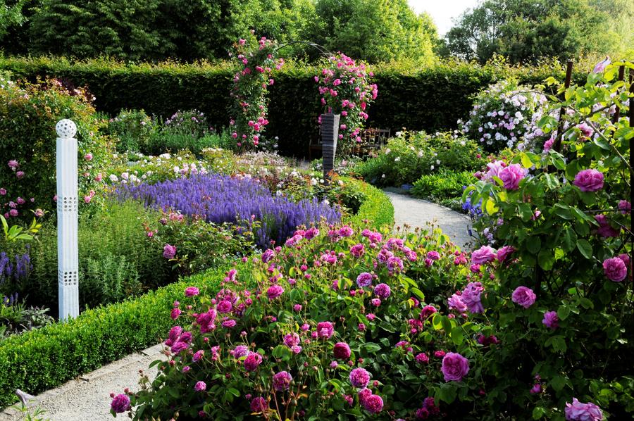 Garten der Sinne – Bild 4