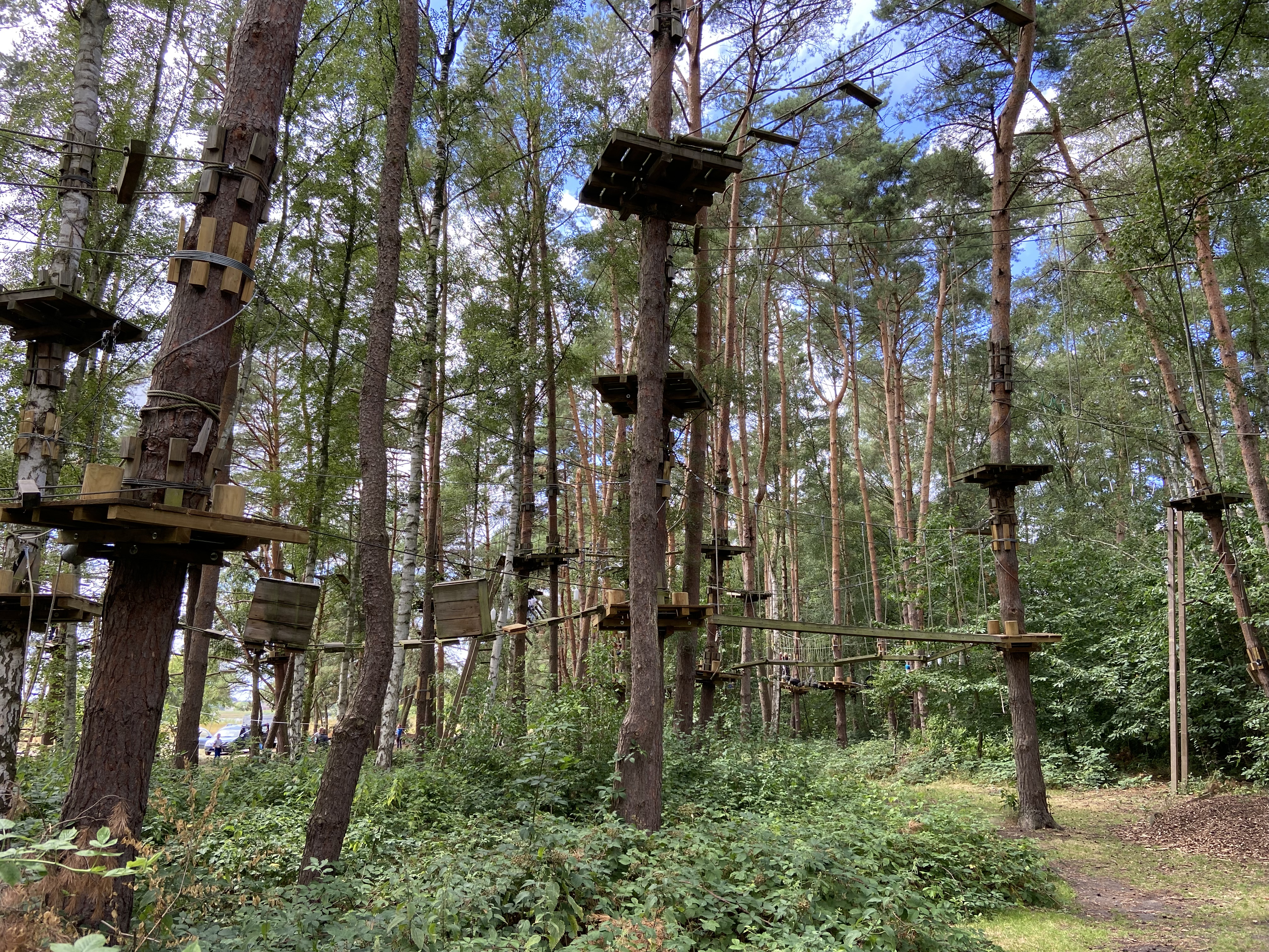 Hochseilgarten Geesthacht – Bild 1