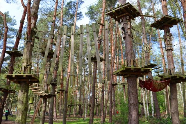 Hochseilgarten Geesthacht – Bild 2