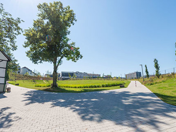 Hefelmannpark – Bild 6