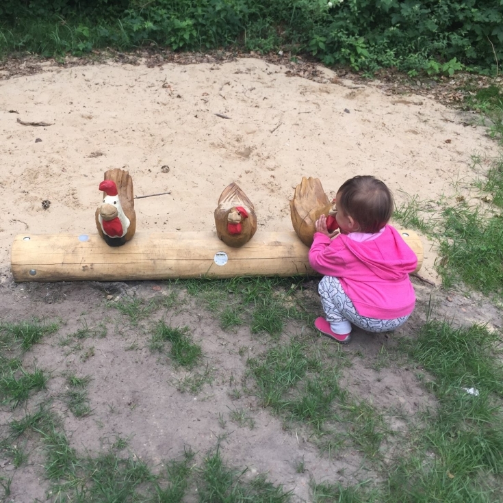 Spielplatz Vogelpark – Bild 2