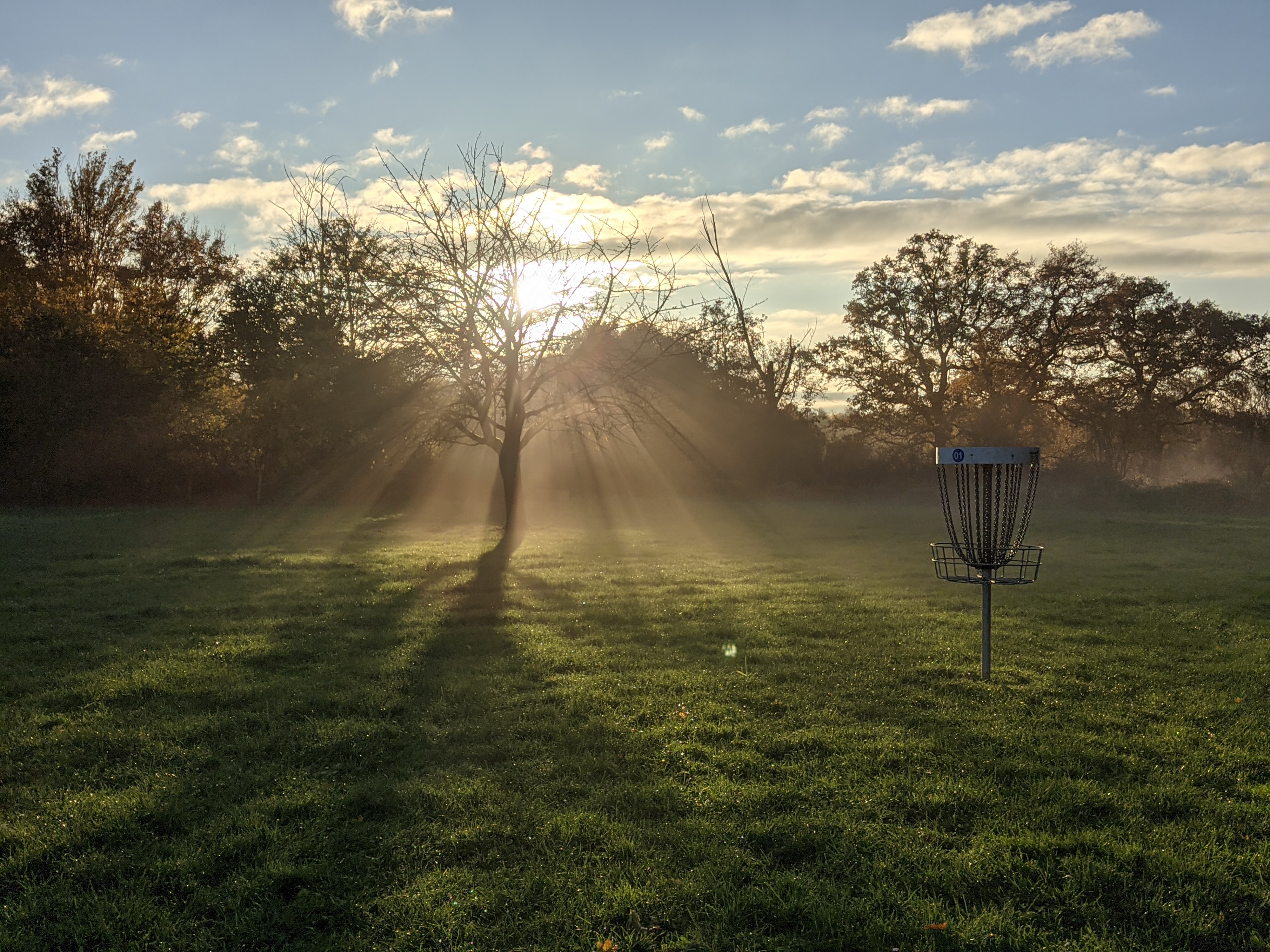 Discgolf Parcours Brückenkopfpark – Bild 2
