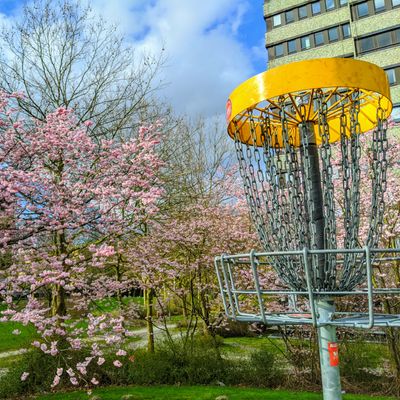 Discgolf Parcours Brückenkopfpark – Bild 5