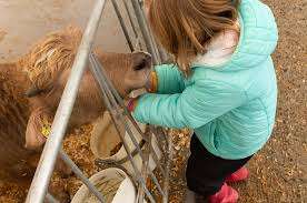 Academy Farms – Bild 4