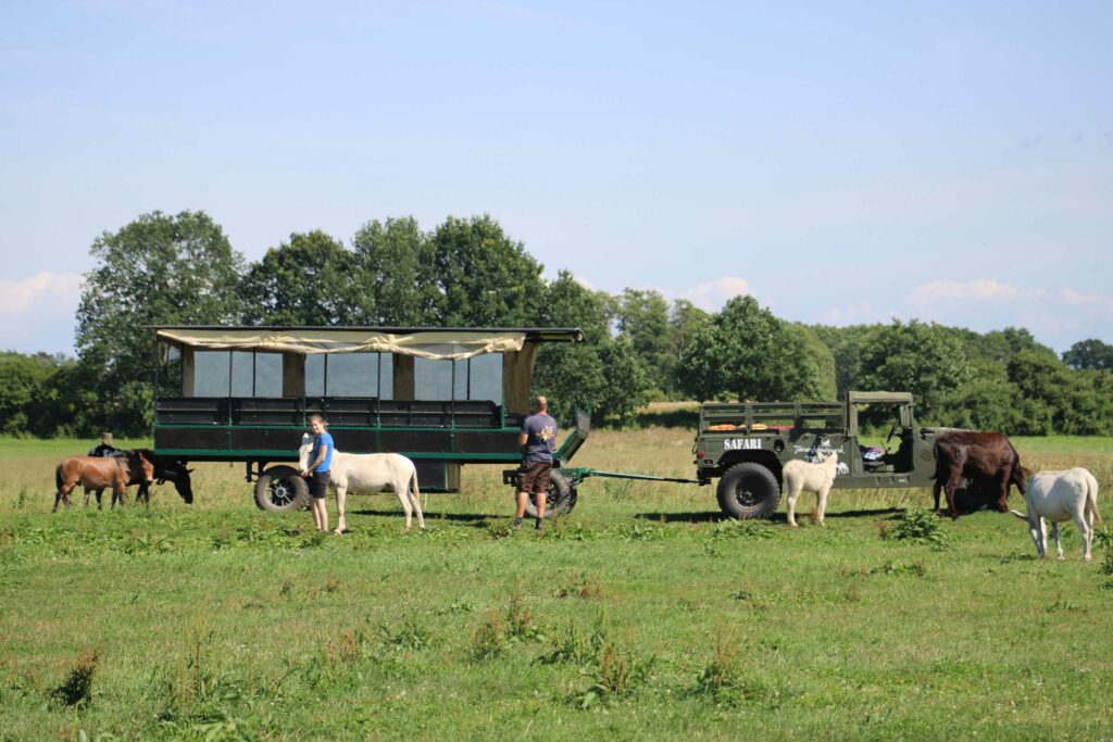 Tiererlebnispark Müritz – Bild 2