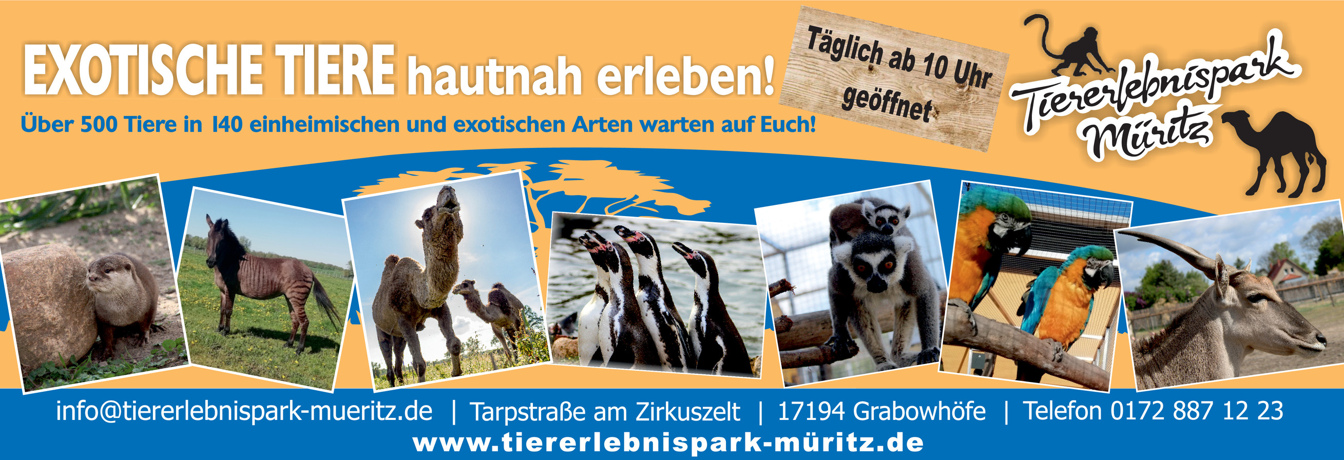 Tiererlebnispark Müritz – Bild 3