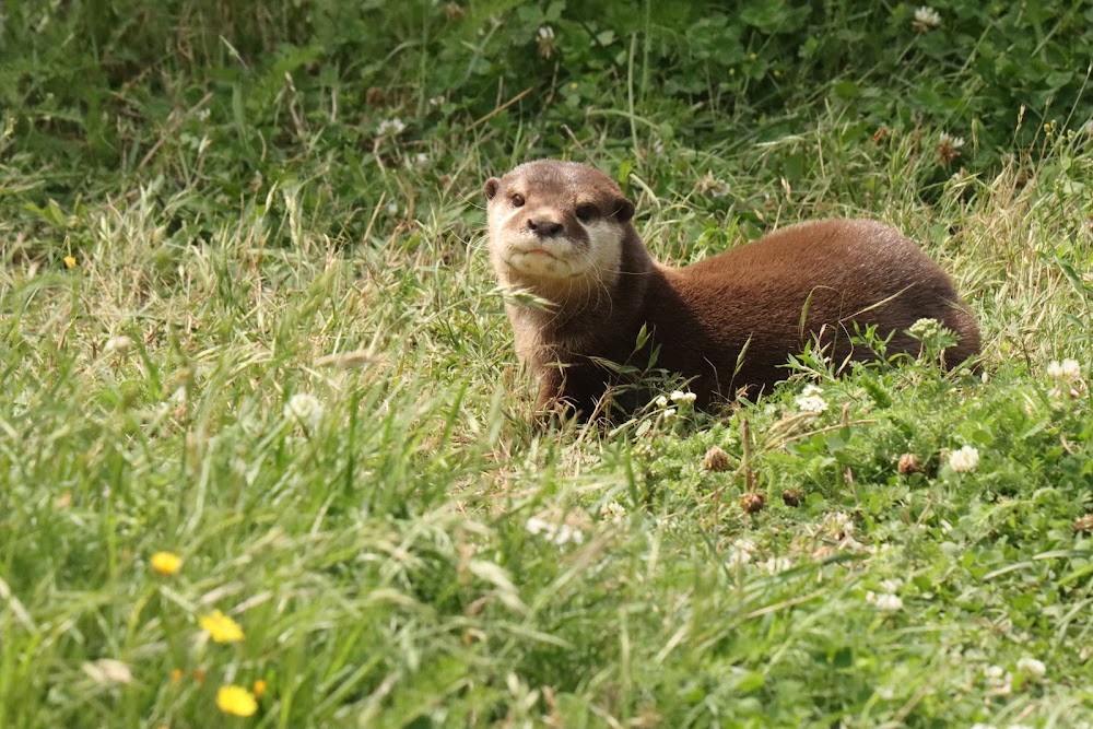 Tiererlebnispark Müritz – Bild 5