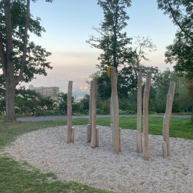 Arboretum an der Burg – Bild 2