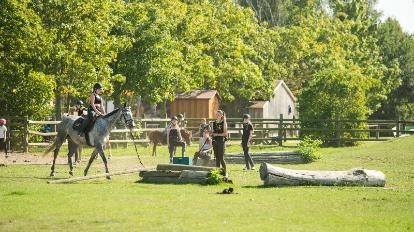 Bernsteinland Hirschburg – Bild 4