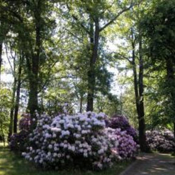 Stadtpark – Bild 4