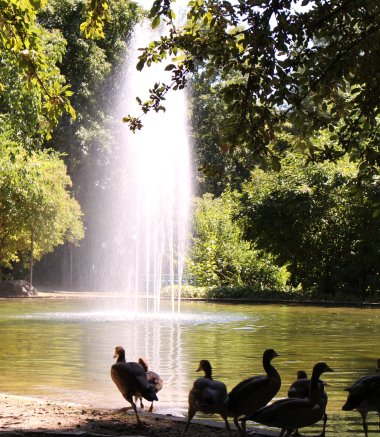 Freizeitpark Kriftel – Bild 2