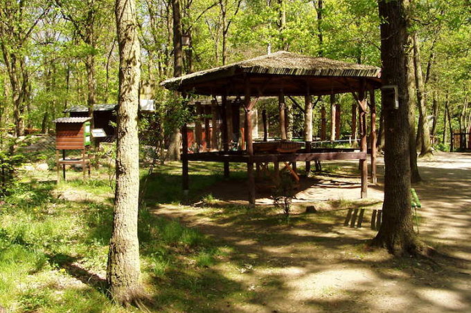 NABU - Zentrum „Im Stadtwald“ – Bild 1