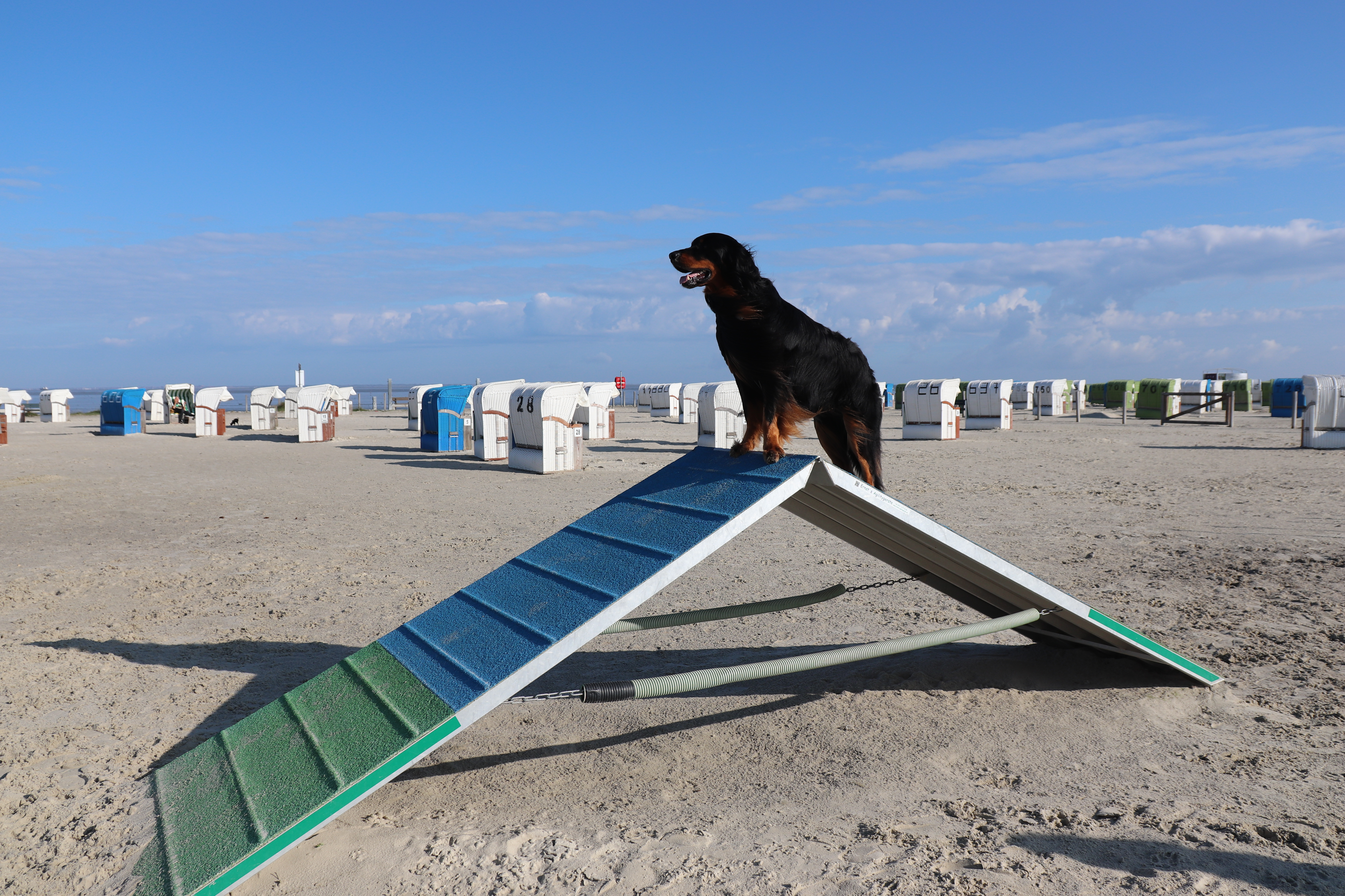 Hundestrand Norddeich – Bild 3