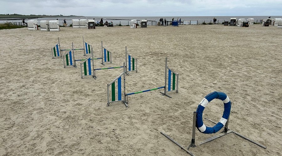 Hundestrand Norddeich – Bild 5