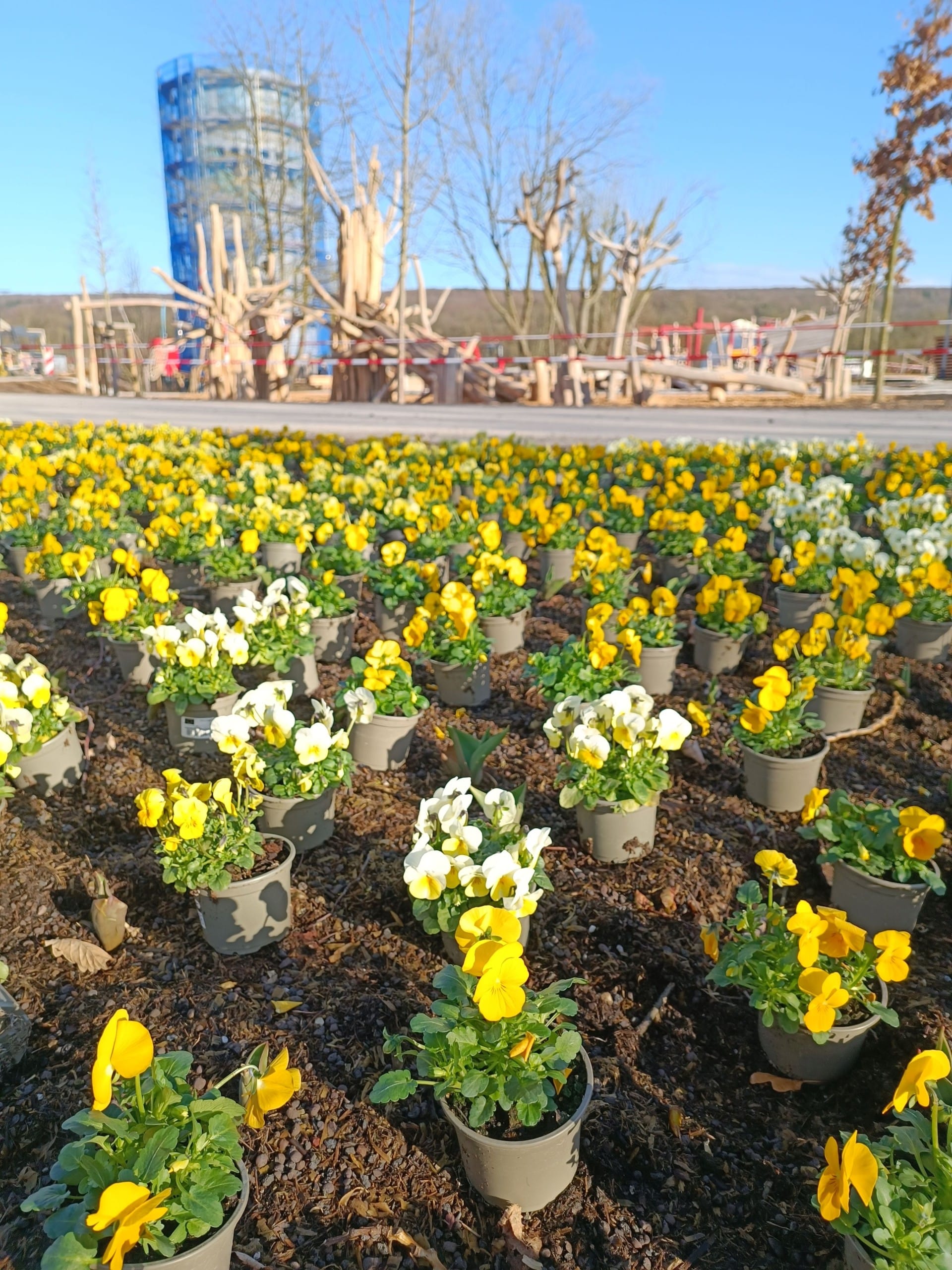 Kletterturm – Bild 2