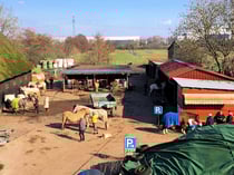 Hof Burmester – Bild 5