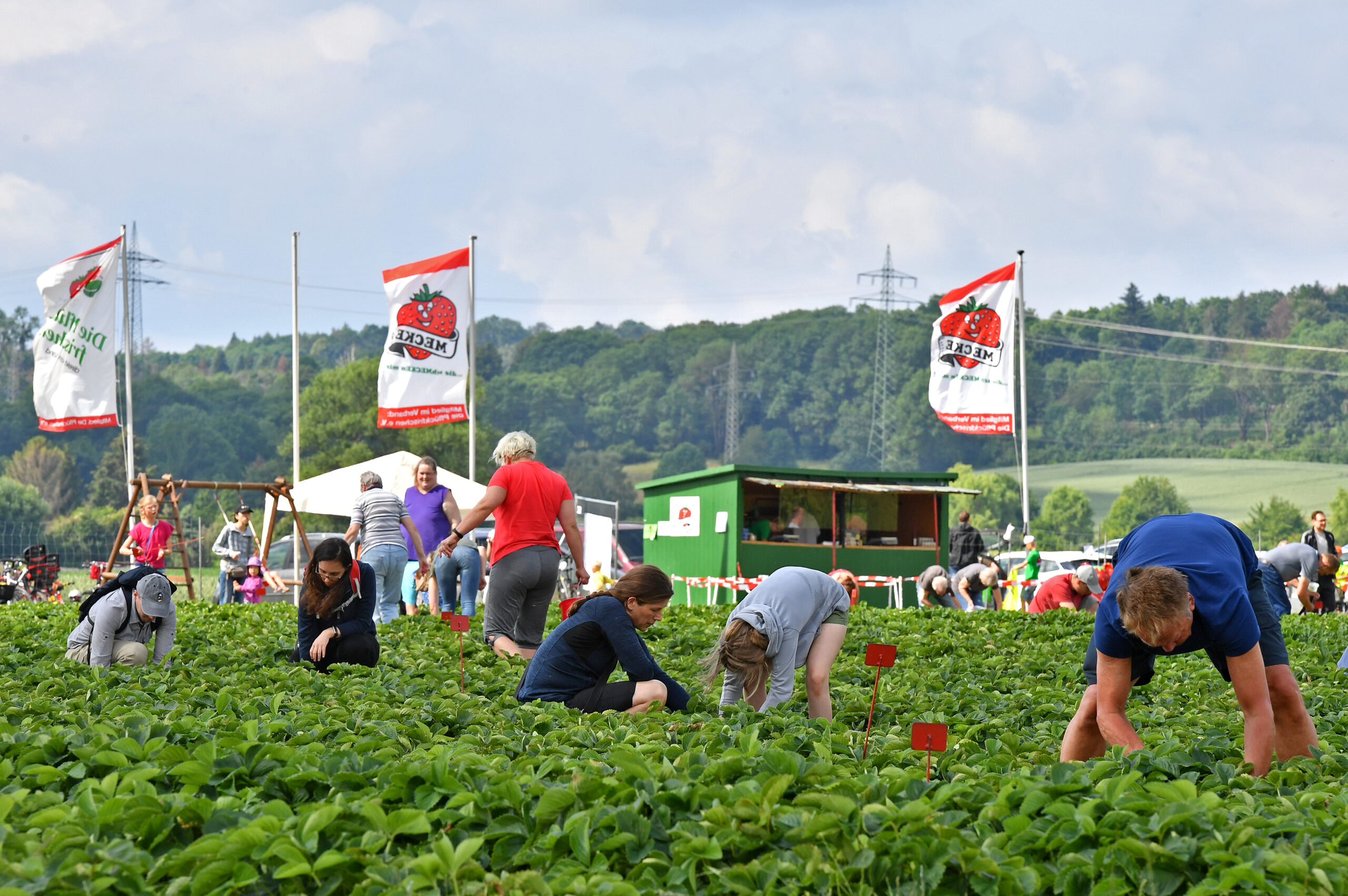 Meckes Hof : Eier und mehr – Bild 5