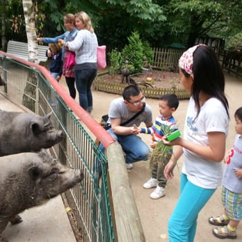 Arche Noah Meerbusch – Bild 3