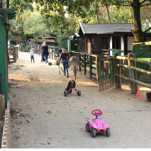 Arche Noah Meerbusch – Bild 5