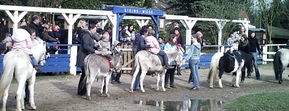 Arche Noah Meerbusch – Bild 6