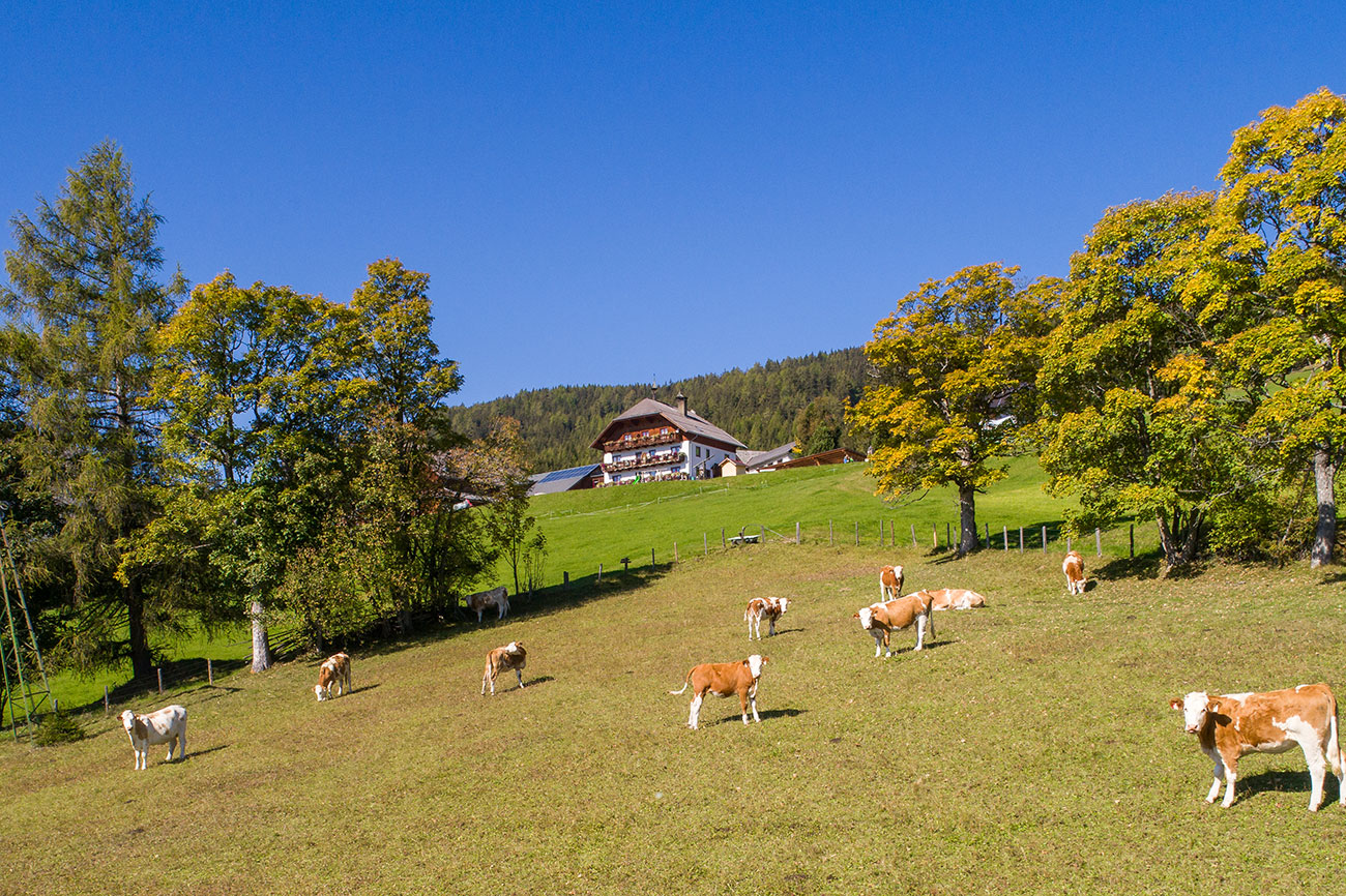 Bauernhof St. Mauritius – Bild 6