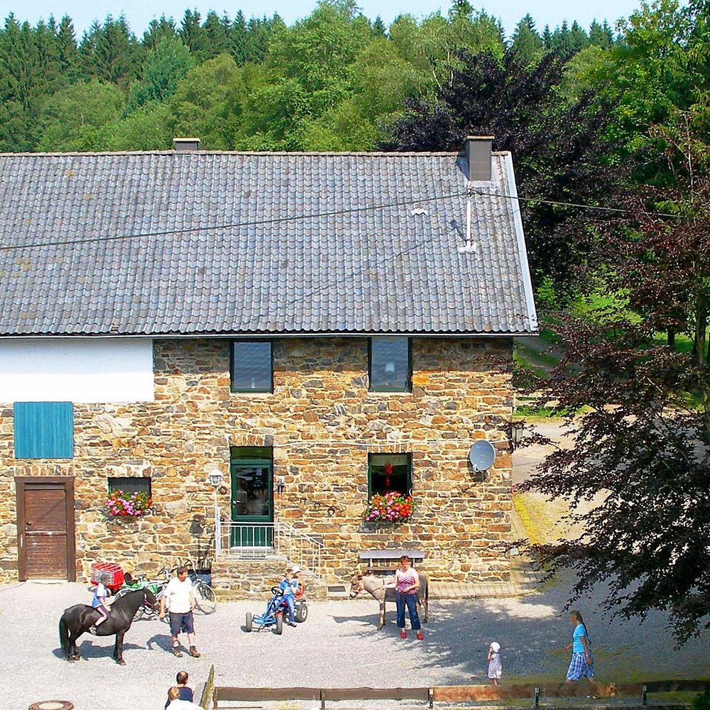 Ferienhof Vennhof - Urlaub auf dem Bauernhof in der Eifel – Bild 4