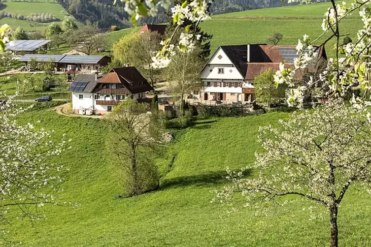 Breigenhof - Clemens Jilg – Bild 1