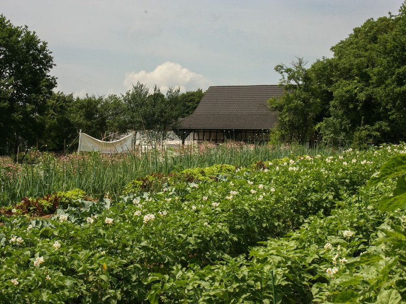 Hof Jüch – Bild 3