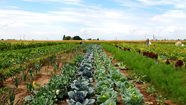Hof Jüch – Bild 4