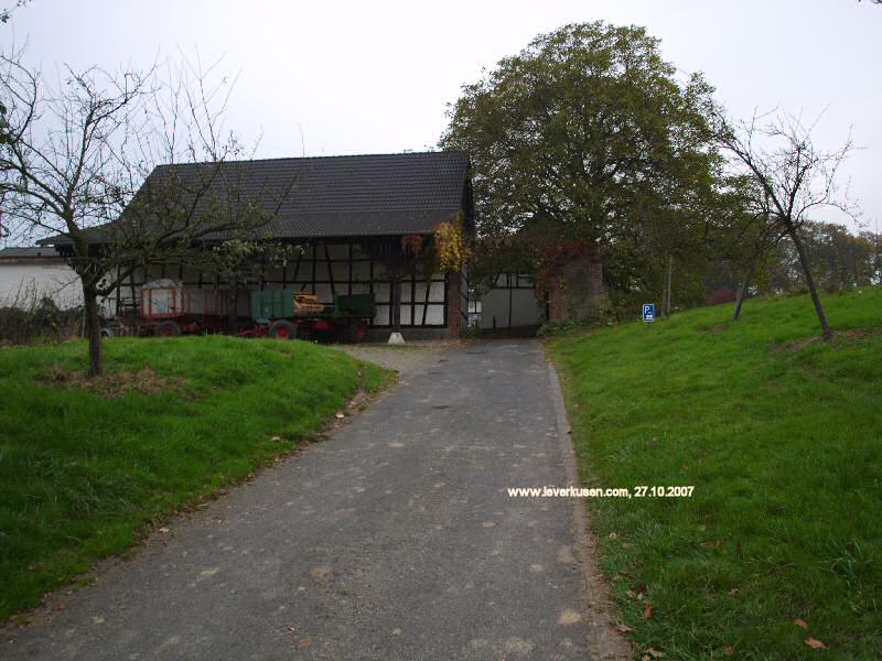 Hof Jüch – Bild 5