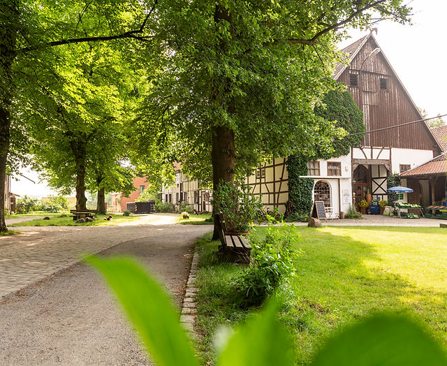 Schulze-Wethmar Biohofladen – Bild 3