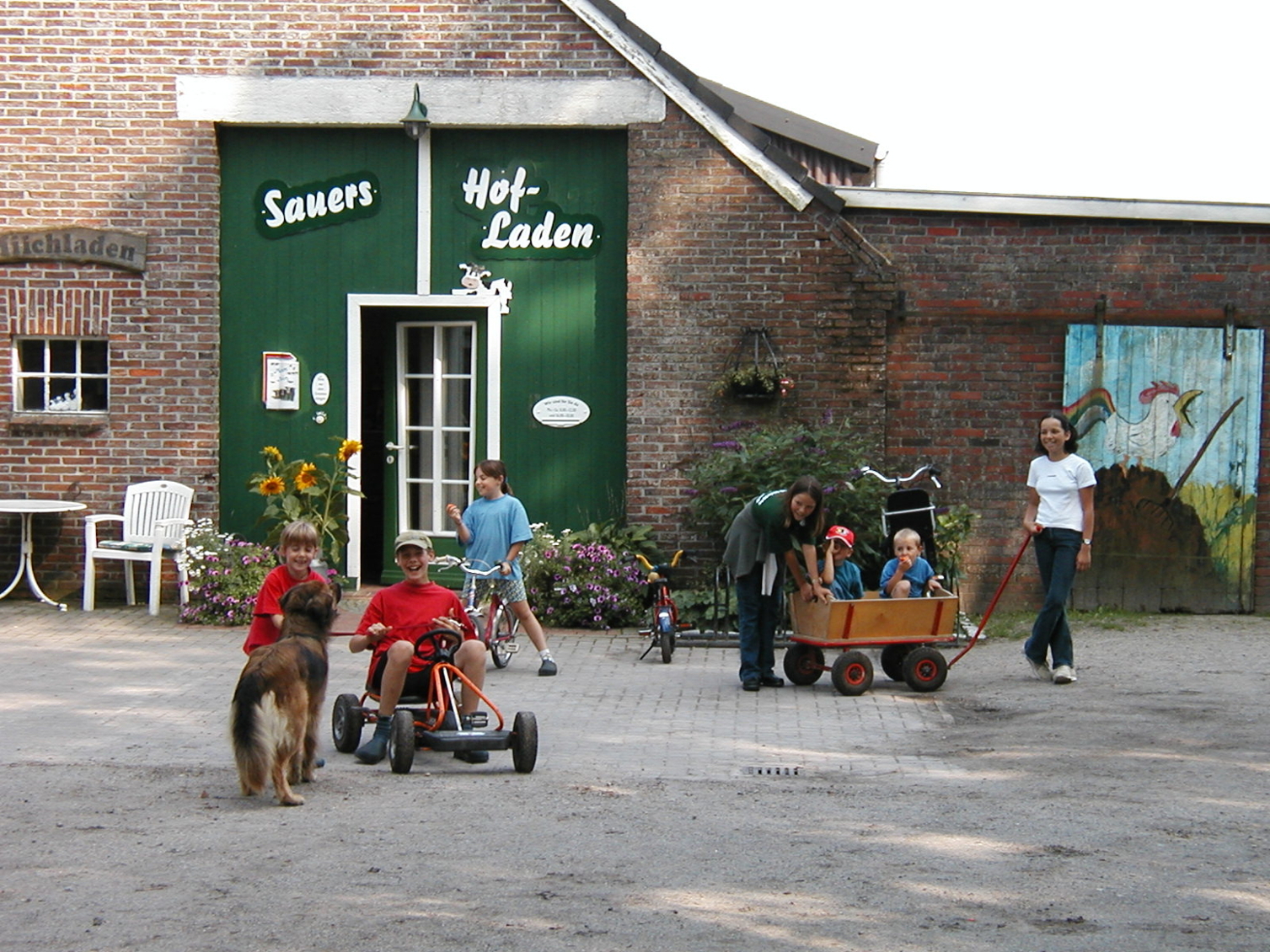 Bauernhof Sauer – Bild 2