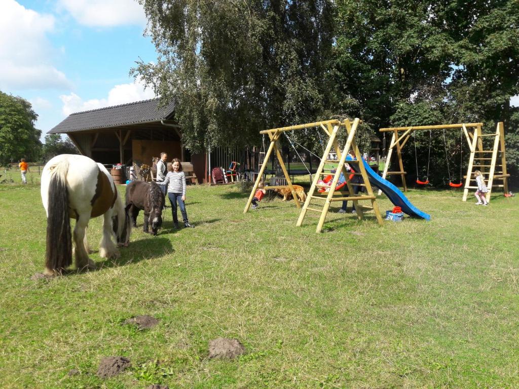 Bauernhof Sauer – Bild 5