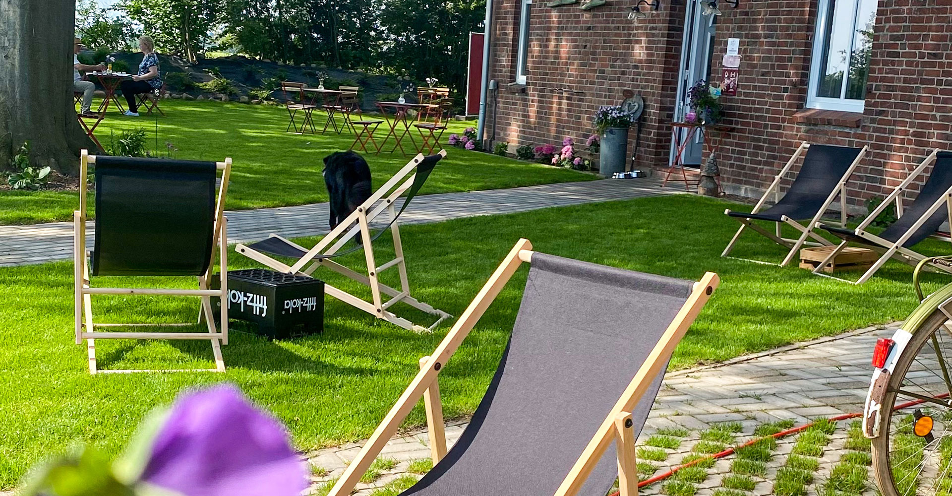 Blümels Hofcafé - Hofladen - Weihnachtsbäume – Bild 4