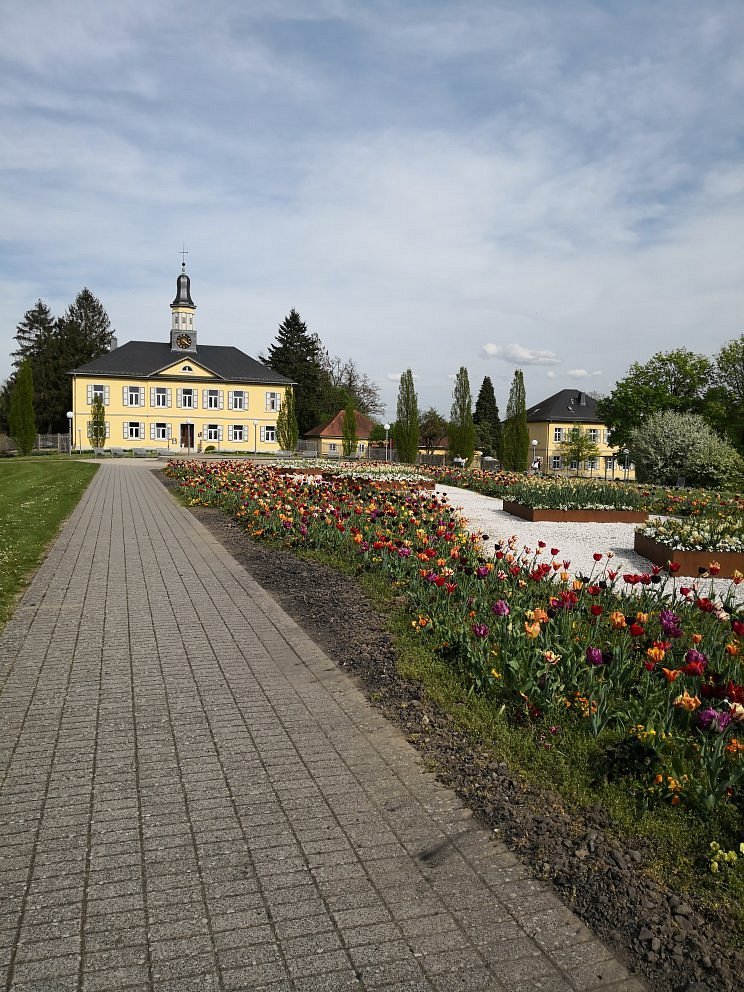 Kurpark Bad Rappenau – Bild 2