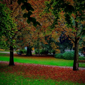 Saarlouiser Stadtwald – Bild 4