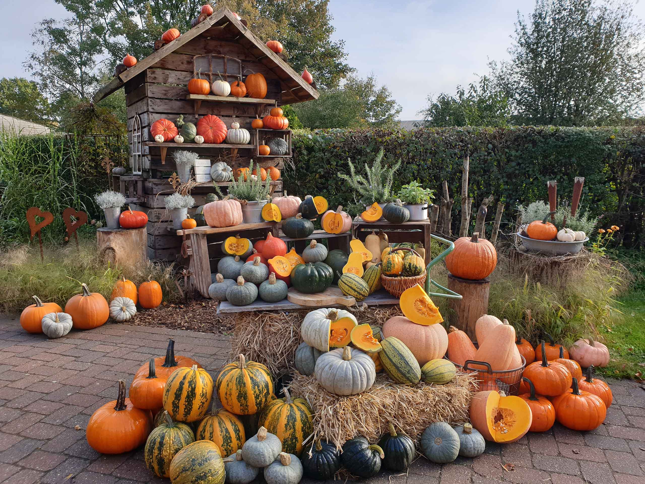 Kürbishof Boie / Kürbisstube – Bild 2