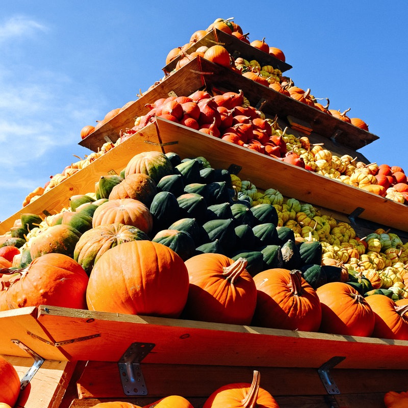 Kürbishof Boie / Kürbisstube – Bild 3