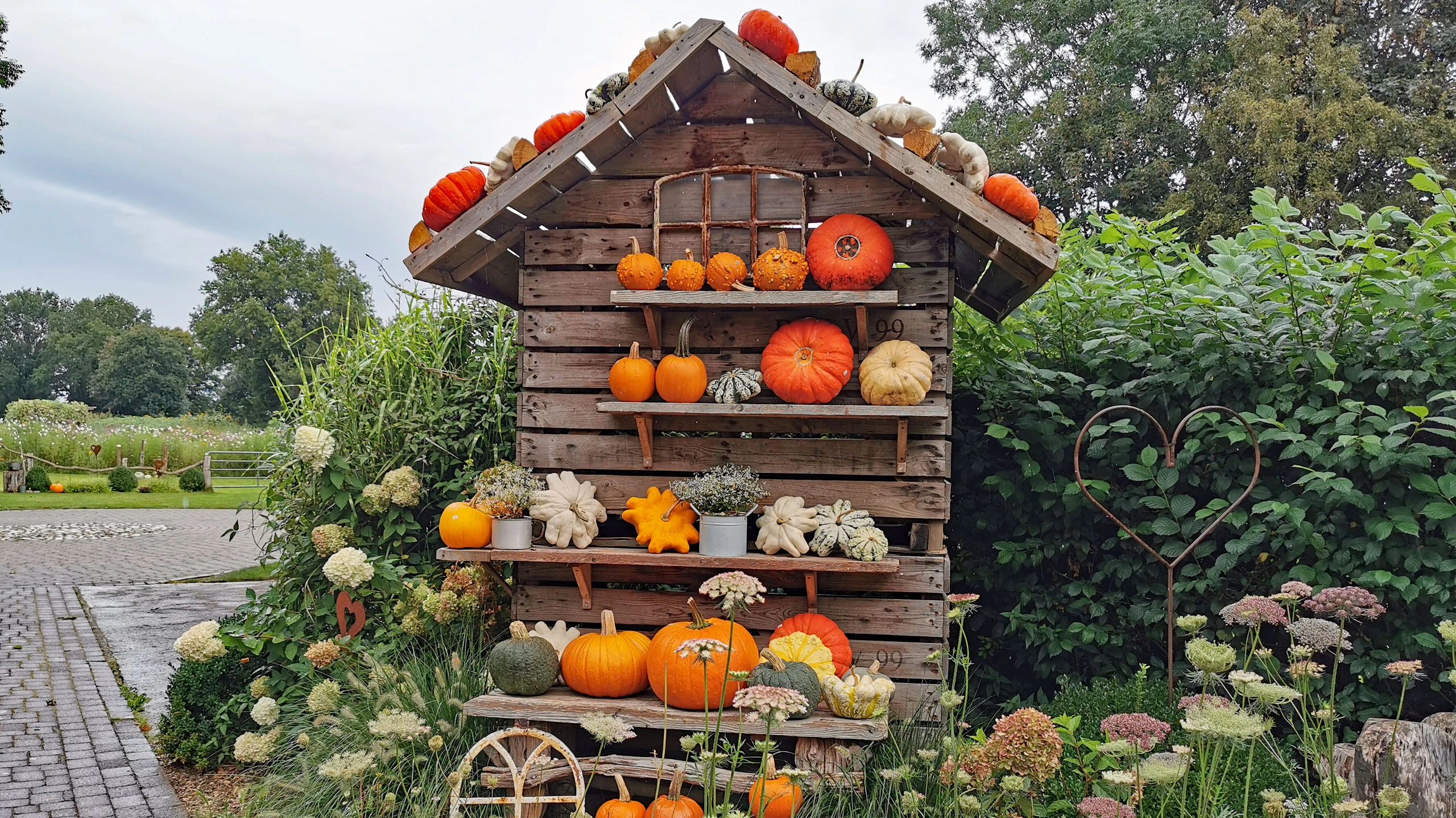 Kürbishof Boie / Kürbisstube – Bild 4