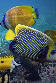 Into the Blue – Bild 4