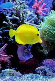 Into the Blue – Bild 5