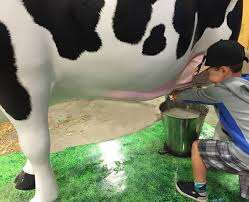 Expo Agricole De Chicoutimi Inc – Bild 2