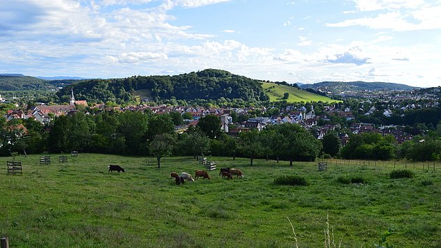 Hofladen Berghof – Bild 3