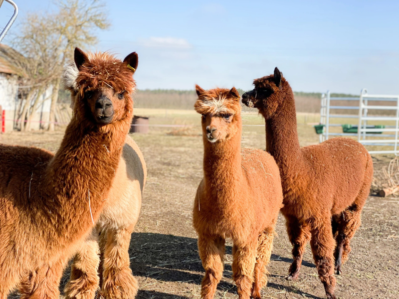 Erlebnispädagogik Kathleen Grygo – Bild 4