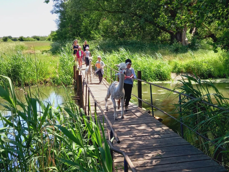Erlebnispädagogik Kathleen Grygo – Bild 6