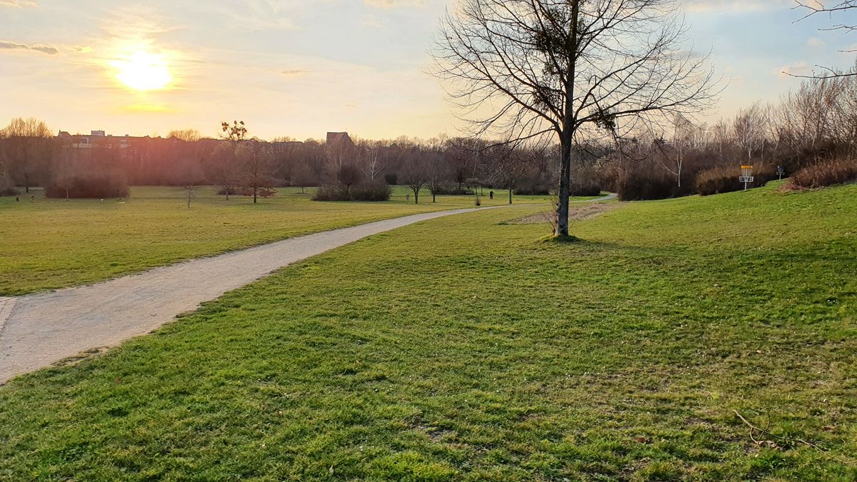 Disc Golf Helmstedt Piepenbrinkpark – Bild 4