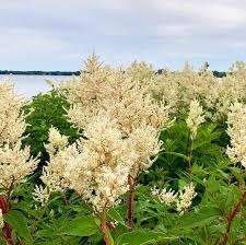 Valois Bay Park – Bild 2