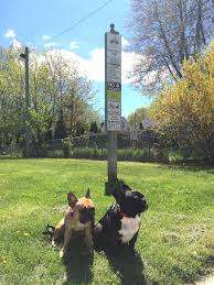 Homedale Park – Bild 3